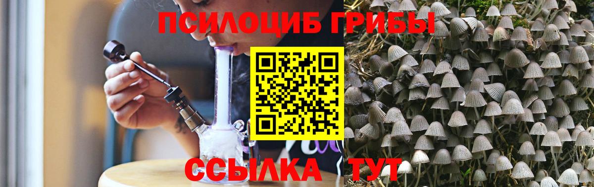 Галлюциногенные грибы мицелий Майкоп
