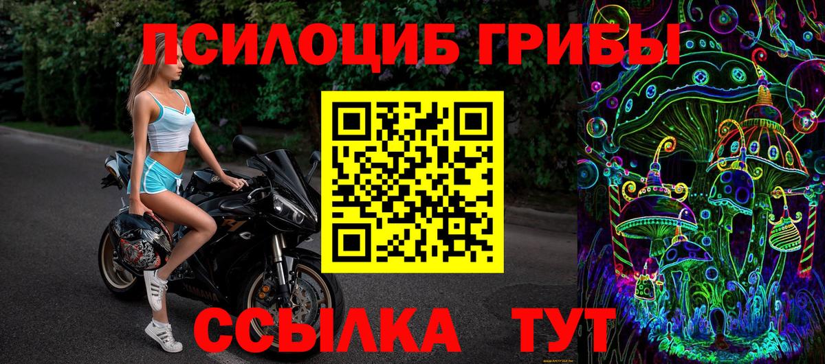 Галлюциногенные грибы Psilocybe  Вход с VPN  Майкоп  Псилоцибиновые грибы MAGIC MUSHROOMS 
